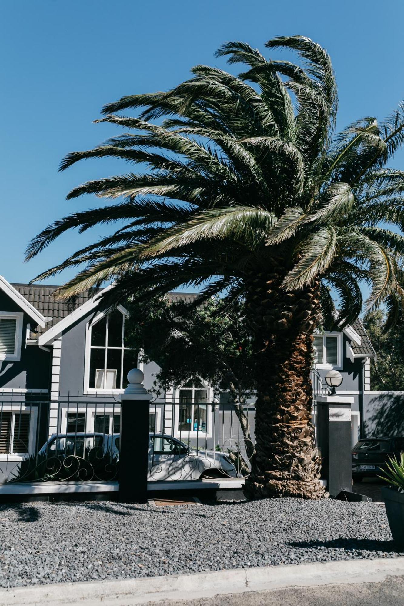 Bloemenzee Boutique B&B Гордонс-Бэй Экстерьер фото